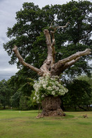 Gardens, Cawdor Castle 03