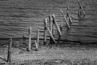 Pilings