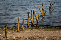 Pilings
