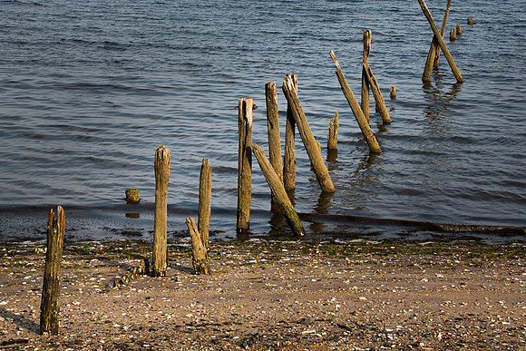 Pilings