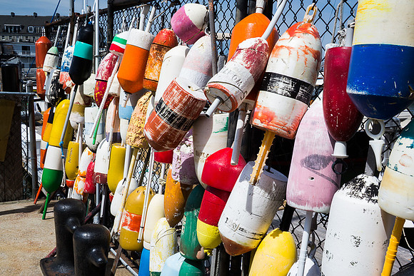 Boat Bumper Wall