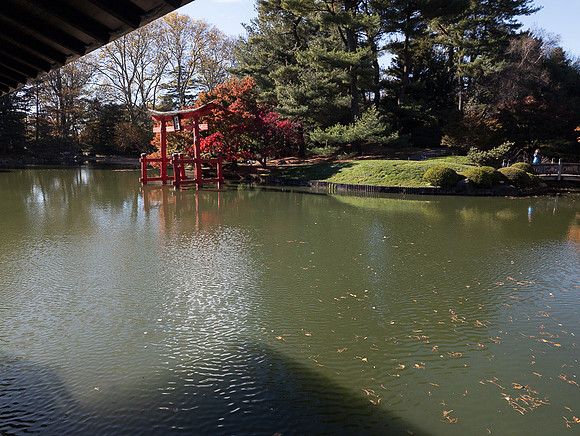 Brooklyn Botanical Garden in the fall