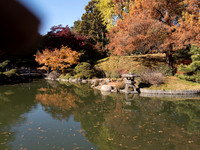 Brooklyn Botanical Garden in the fall