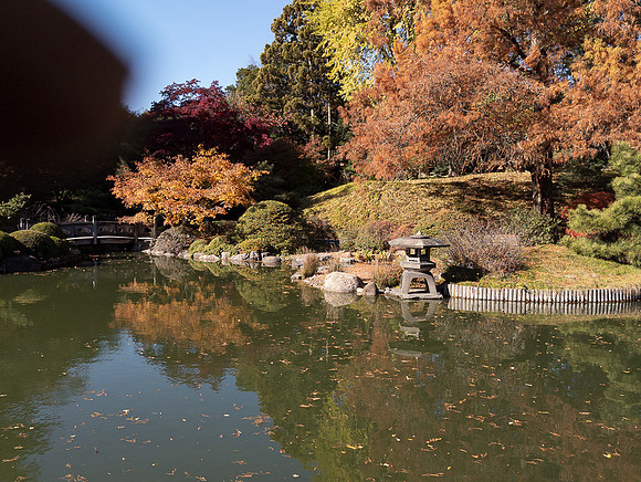 Brooklyn Botanical Garden in the fall