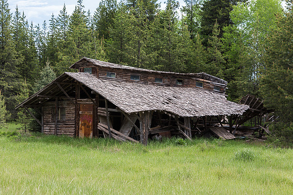 Meadow near Polebridge Montana