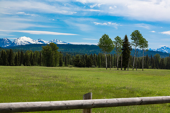 Avalance Creek