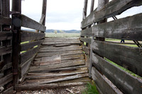 Forgotten Cattle Ramp