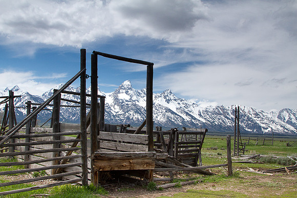 Teton cattle ramp