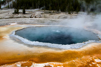 Crested Pool