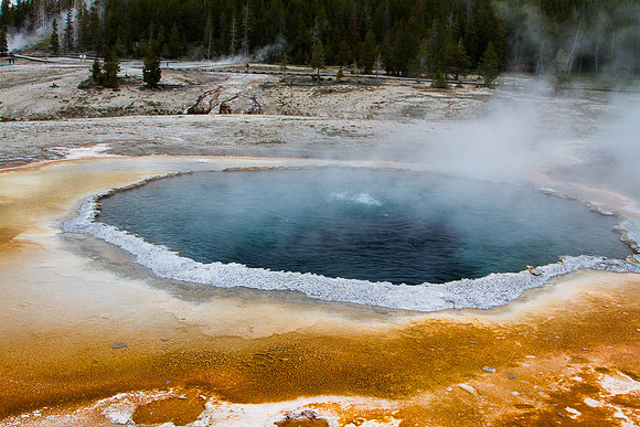 Crested Pool