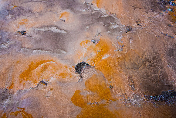 Bacterial Mat - 4