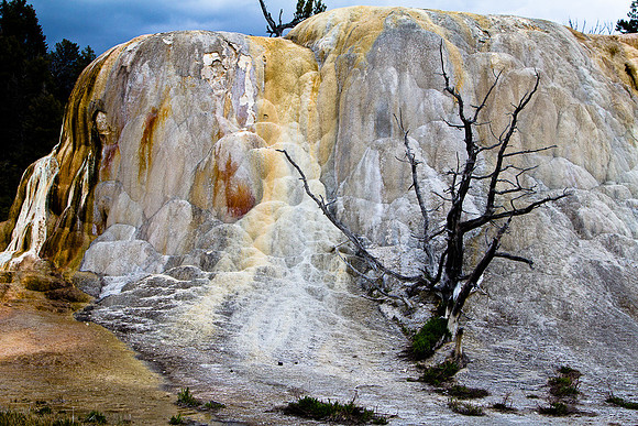 Orange Spring Mound #1, Yellowstone