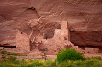 Antelope house