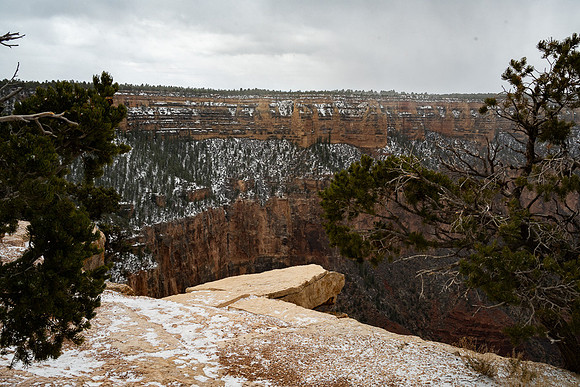Grand Canon from South Kiabab Trailhead Spur Rd