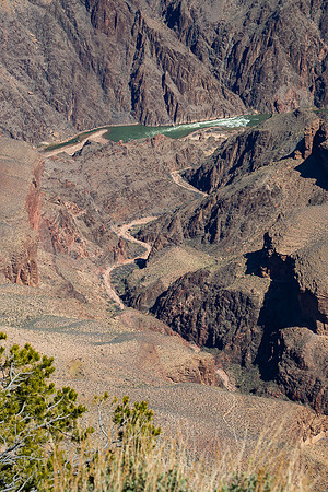 Grand Canyon and Colorado River from Pima Point #1