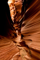 Narrow bottom - Mountain Sheep Canyon