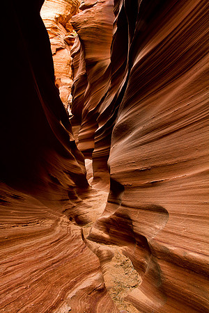 Narrow bottom - Mountain Sheep Canyon