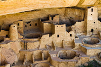 Spruce Tree House