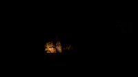 Kings Palace #2, Carlsbad Caverns