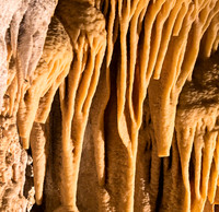 Flowstone Big Room #21, Carlsbad Caverns
