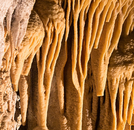 Flowstone Big Room #21, Carlsbad Caverns