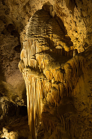 Big Room #23, Carlsbad Caverns