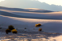 Gypsum sand dune #3