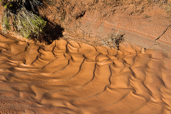 Mud Ripples