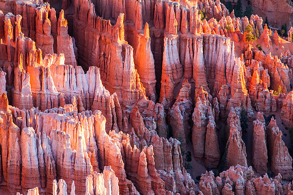 Bryce Canyon Morning from Inspirtation Point 6