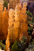Bryce Point Hoodoo - 1