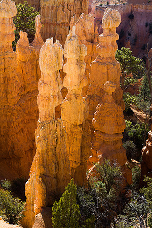 Bryce Point Hoodoo - 1