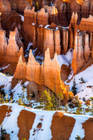 Hoodoos glowing in early morning light