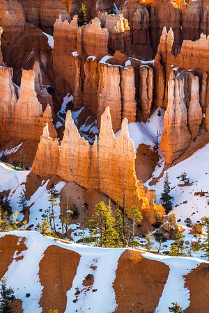 Hoodoos glowing in early morning light