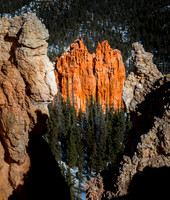 Bryce Canyon from Rainbow Point (mid day) #1