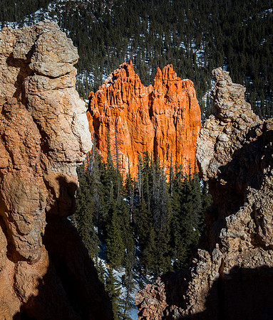 Bryce Canyon from Rainbow Point (mid day) #1