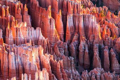 Bryce Canyon Morning from Inspirtation Point 6