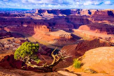 Morning at the Bend, Dead Horse Point, UT