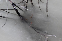 Frozen in the lake #2