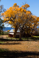 Utah farm in the fall 2