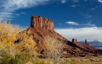 Butte & trees