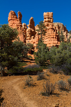 Red Canyon Hoodoo's 1