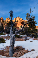 Red Canyon SP Utah #3