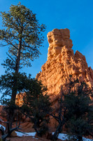 Red Canyon SP Utah #4