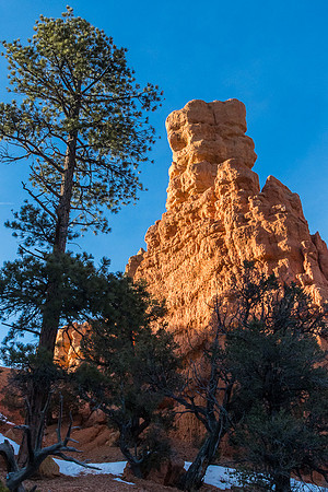 Red Canyon SP Utah #4