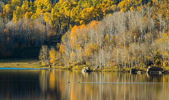 Fall over Kolub II