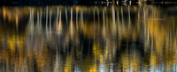 Just the reflections