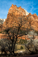 Court of the Patriarcs #2, Zion NP