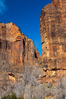 Temple of Sinawava, Zion NP