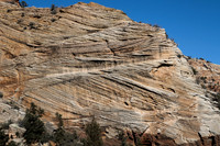 Zion Petrified Sand dune