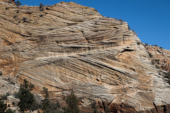 Zion Petrified Sand dune